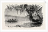 View on the Ashley River by Anonymous