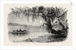 View on the Ashley River by Anonymous