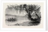 View on the Ashley River by Anonymous