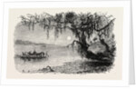 View on the Ashley River by Anonymous