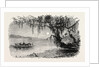 View on the Ashley River by Anonymous