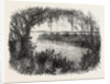 A Vista in South Carolina by Anonymous