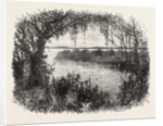 A Vista in South Carolina by Anonymous