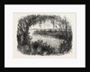 A Vista in South Carolina by Anonymous