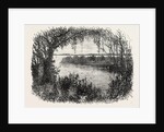 A Vista in South Carolina by Anonymous