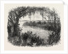 A Vista in South Carolina by Anonymous