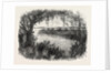 A Vista in South Carolina by Anonymous