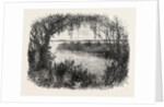 A Vista in South Carolina by Anonymous