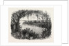 A Vista in South Carolina by Anonymous