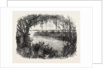 A Vista in South Carolina by Anonymous