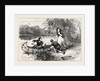 Mrs. Dunstan Escaping Down the Merrimac, Merrimack River by Anonymous