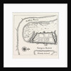 A Draught of the Town and Harbour of Charleston, 1715 by Anonymous