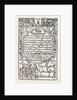 New England Paper Money by Anonymous