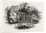 A Planter's House in Georgia by Anonymous
