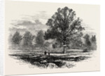 Battlefield of Abercrombie's Defeat by Anonymous