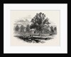 Battlefield of Abercrombie's Defeat by Anonymous