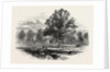 Battlefield of Abercrombie's Defeat by Anonymous