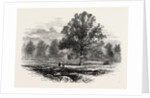 Battlefield of Abercrombie's Defeat by Anonymous