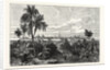 The City of Vera Cruz, Mexico by Anonymous