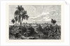 The City of Vera Cruz, Mexico by Anonymous