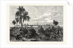 The City of Vera Cruz, Mexico by Anonymous