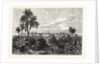 The City of Vera Cruz, Mexico by Anonymous