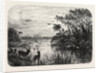 Scene Upon a Creek, Tributary to the St. John's, Florida by Anonymous