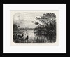 Scene Upon a Creek, Tributary to the St. John's, Florida by Anonymous
