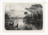 Scene Upon a Creek, Tributary to the St. John's, Florida by Anonymous