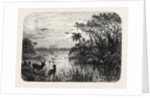 Scene Upon a Creek, Tributary to the St. John's, Florida by Anonymous