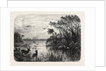 Scene Upon a Creek, Tributary to the St. John's, Florida by Anonymous