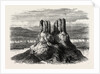 Basaltic Pinnacles on the Columbia River by Anonymous