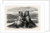 Basaltic Pinnacles on the Columbia River by Anonymous