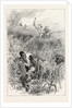 A Slave Hunt, United States of America, Slavery by Anonymous