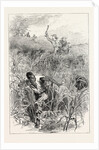 A Slave Hunt, United States of America, Slavery by Anonymous