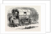 United States Military Telegraph Waggon, American Civil War by Anonymous