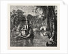 View in Florida by Anonymous