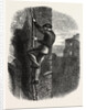 Escape of Morgan by Anonymous