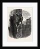 Escape of Morgan by Anonymous