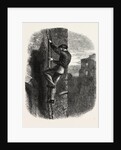 Escape of Morgan by Anonymous
