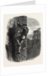 Escape of Morgan by Anonymous