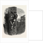 Escape of Morgan by Anonymous