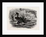 Lieutenant Cushing's Attack on the Albemarle, American Civil War by Anonymous