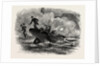 Lieutenant Cushing's Attack on the Albemarle, American Civil War by Anonymous