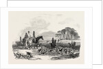 Hare Hunting: The Meet by Anonymous