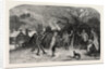 Firing at the Apple Tree, in Devonshire by Anonymous