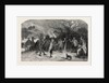 Firing at the Apple Tree, in Devonshire by Anonymous