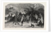 Firing at the Apple Tree, in Devonshire by Anonymous