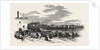 Departure of the Deputation from Cape Town for England, South Africa by Anonymous