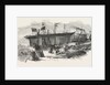 Launch of the Marion Macintyre, and Part of the Ship Iron Frame, at Messrs Jordan and Getley's Building Yard Liverpool by Anonymous
